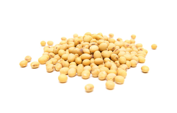 bean