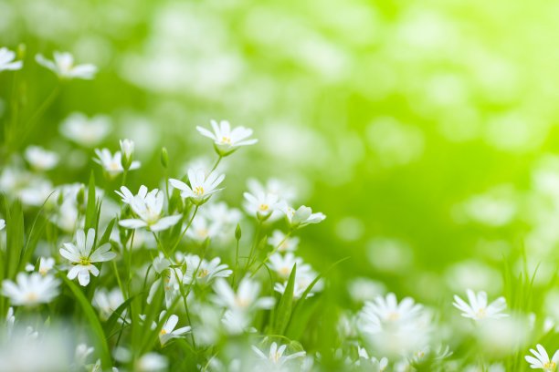 springtime