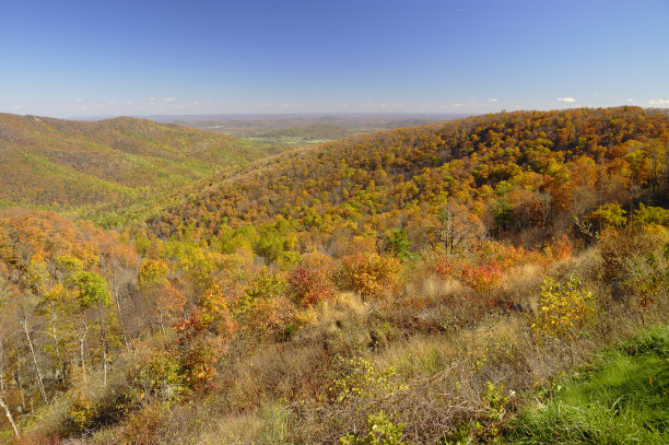 shenandoah