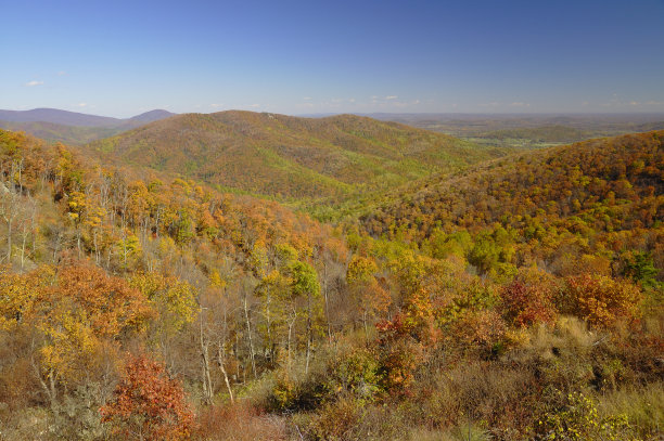 shenandoah