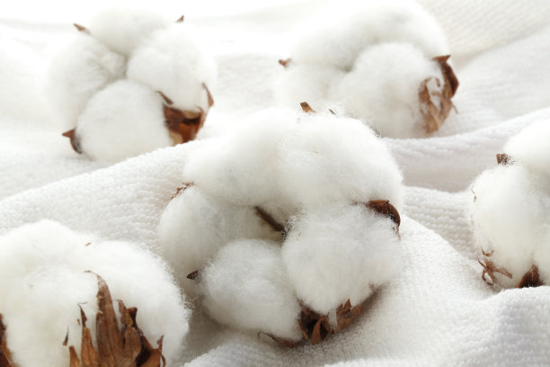 cotton