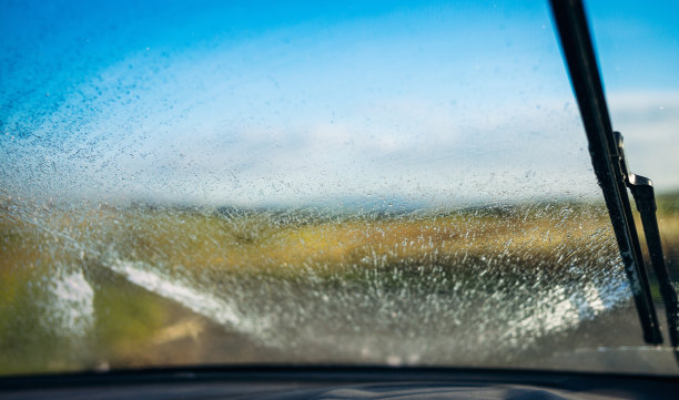 windshield