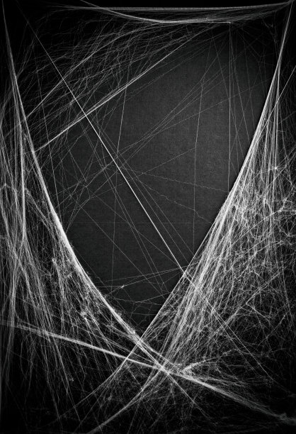 web