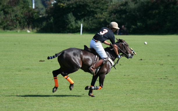 polo