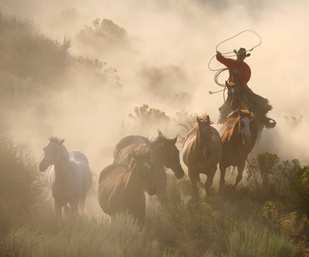 western