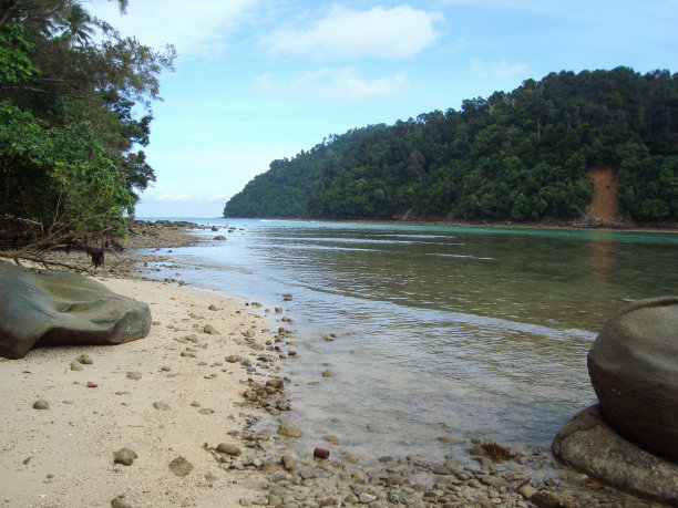 sapi