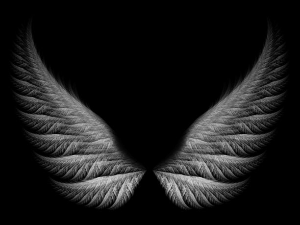 wings