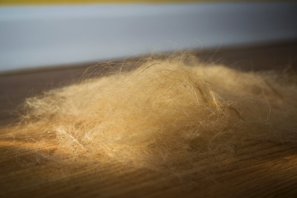hairs