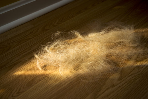 hairs