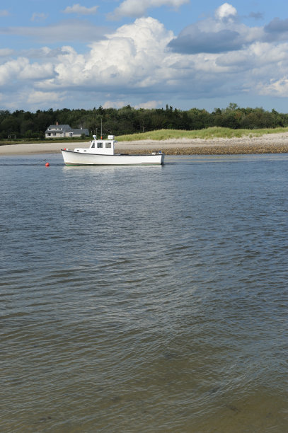 停泊的白色渔船