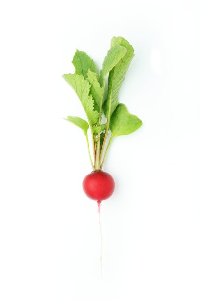 radishes