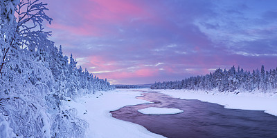 arctic