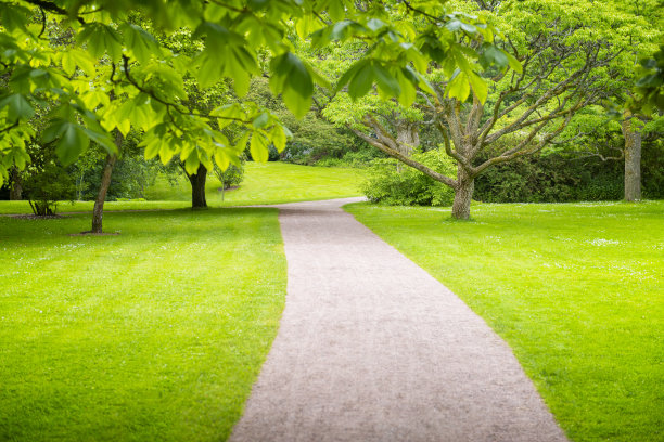 trail