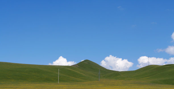 青海高原一景