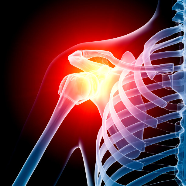 shoulder