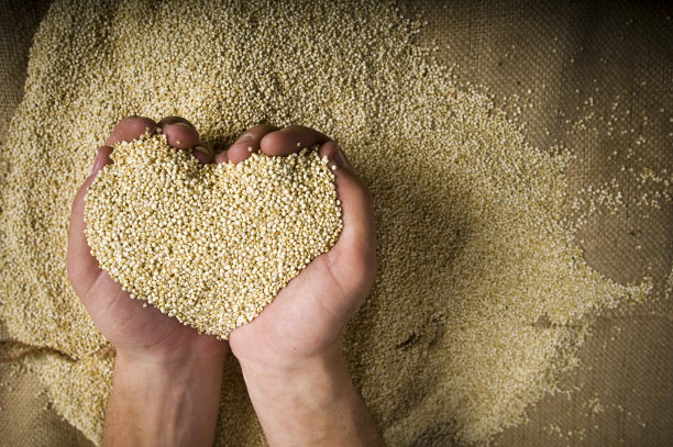 quinoa