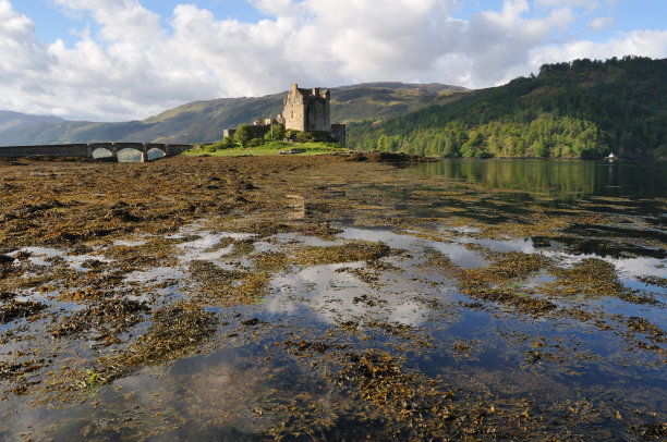 donan
