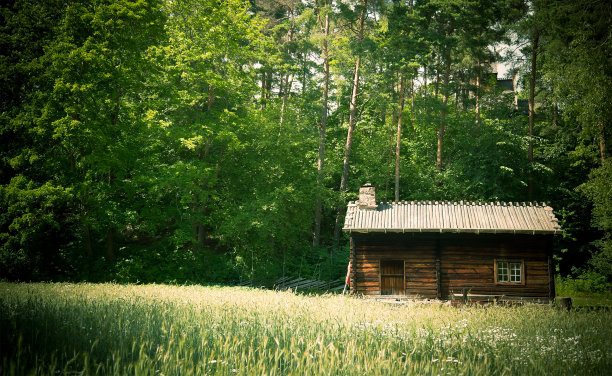 林间的小屋