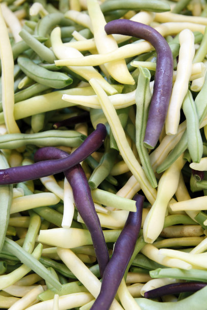 紫色蜡豆