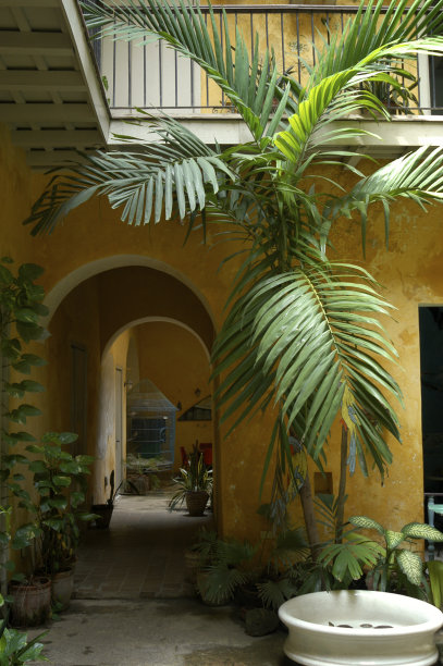 havana