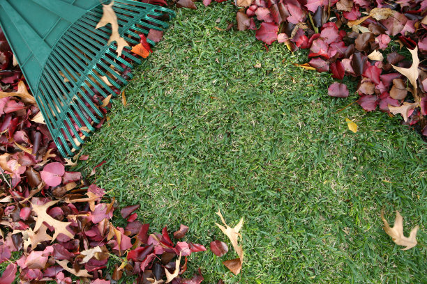 rake