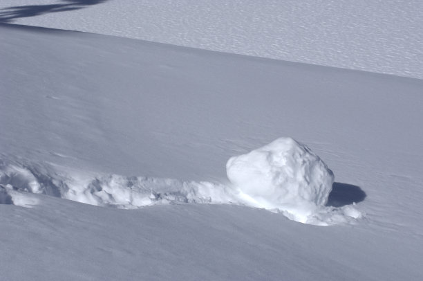 snowball
