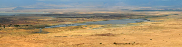 ngorongoro