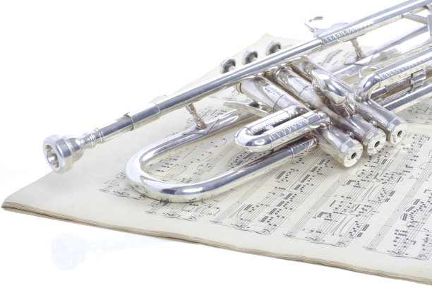 horns