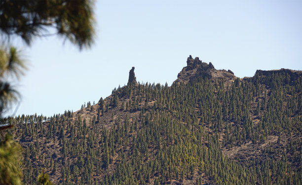sierra
