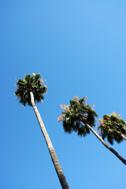 huntington