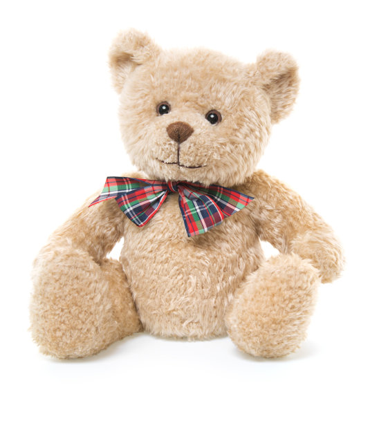 teddy