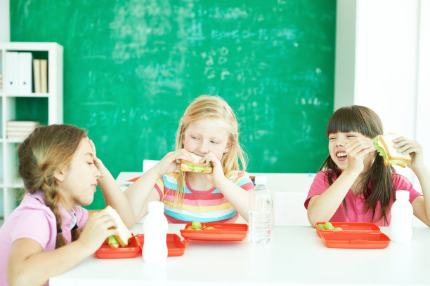 小学生饮食教育
