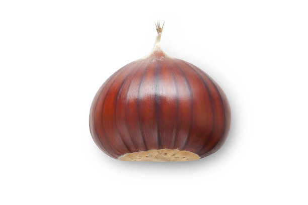chestnut