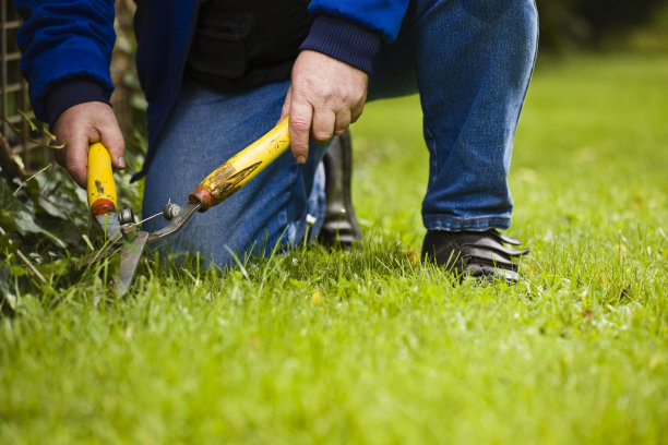 horticulture