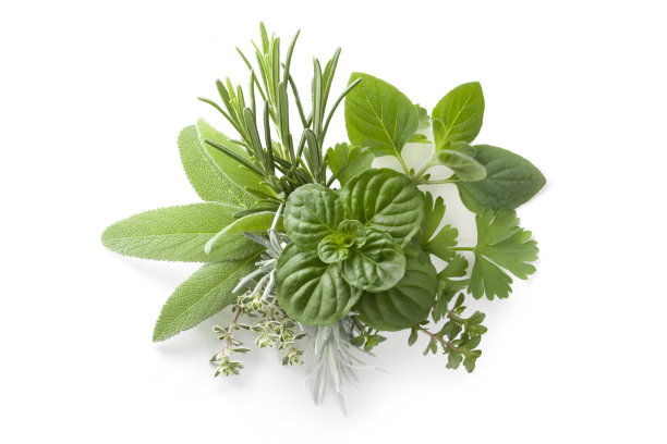 herbs