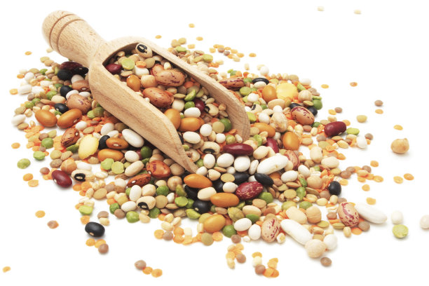 legume
