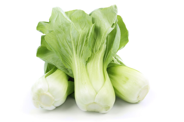 油菜