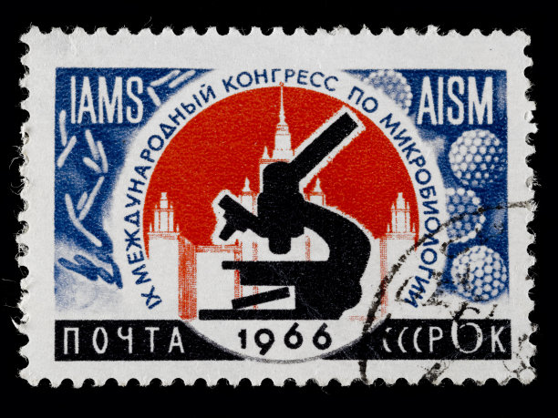 1966