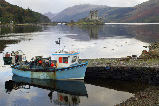 donan