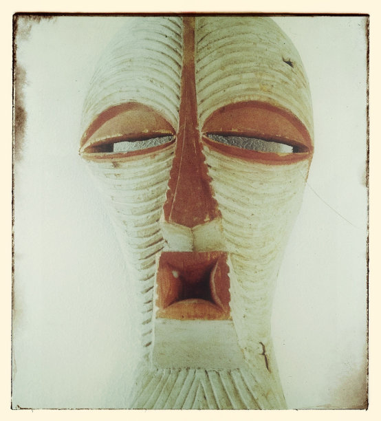 gimp