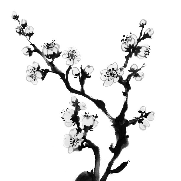 梅花素材