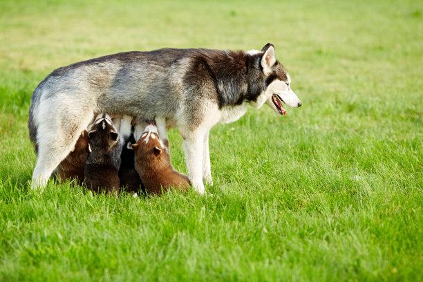 newborn