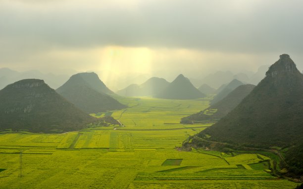 云南油菜田