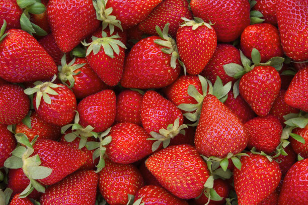 红草莓鲜草莓