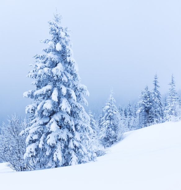 snow