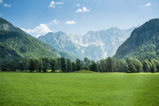 habitat