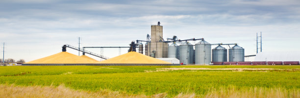 grain