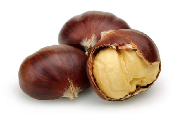 chestnut