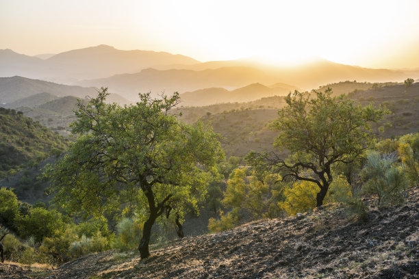 andalucia
