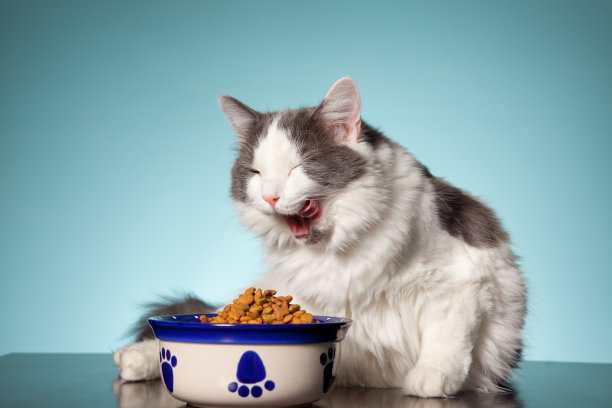 eat